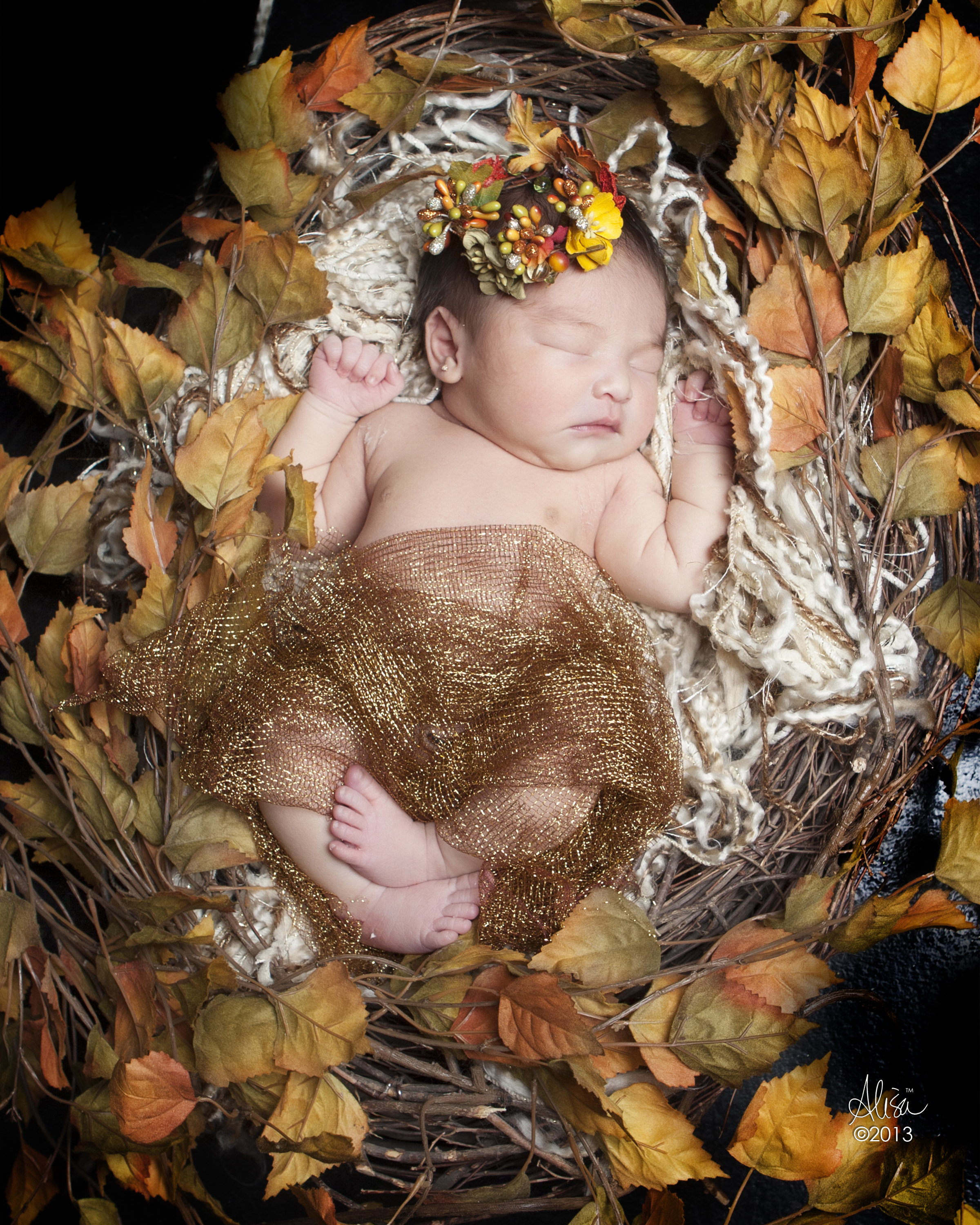Houston Newborn Photographer | Gorgeous