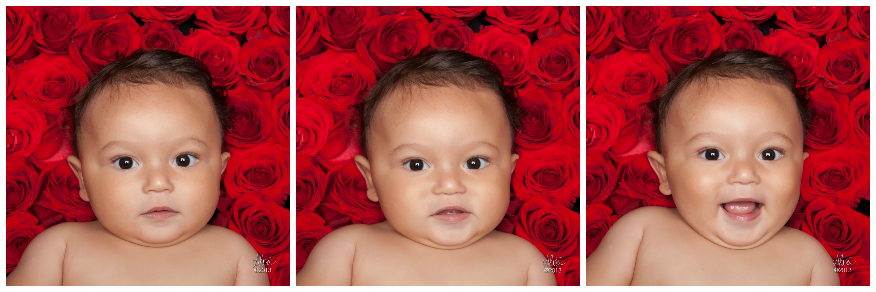 Houston Baby Photographer | Trademark Red Roses