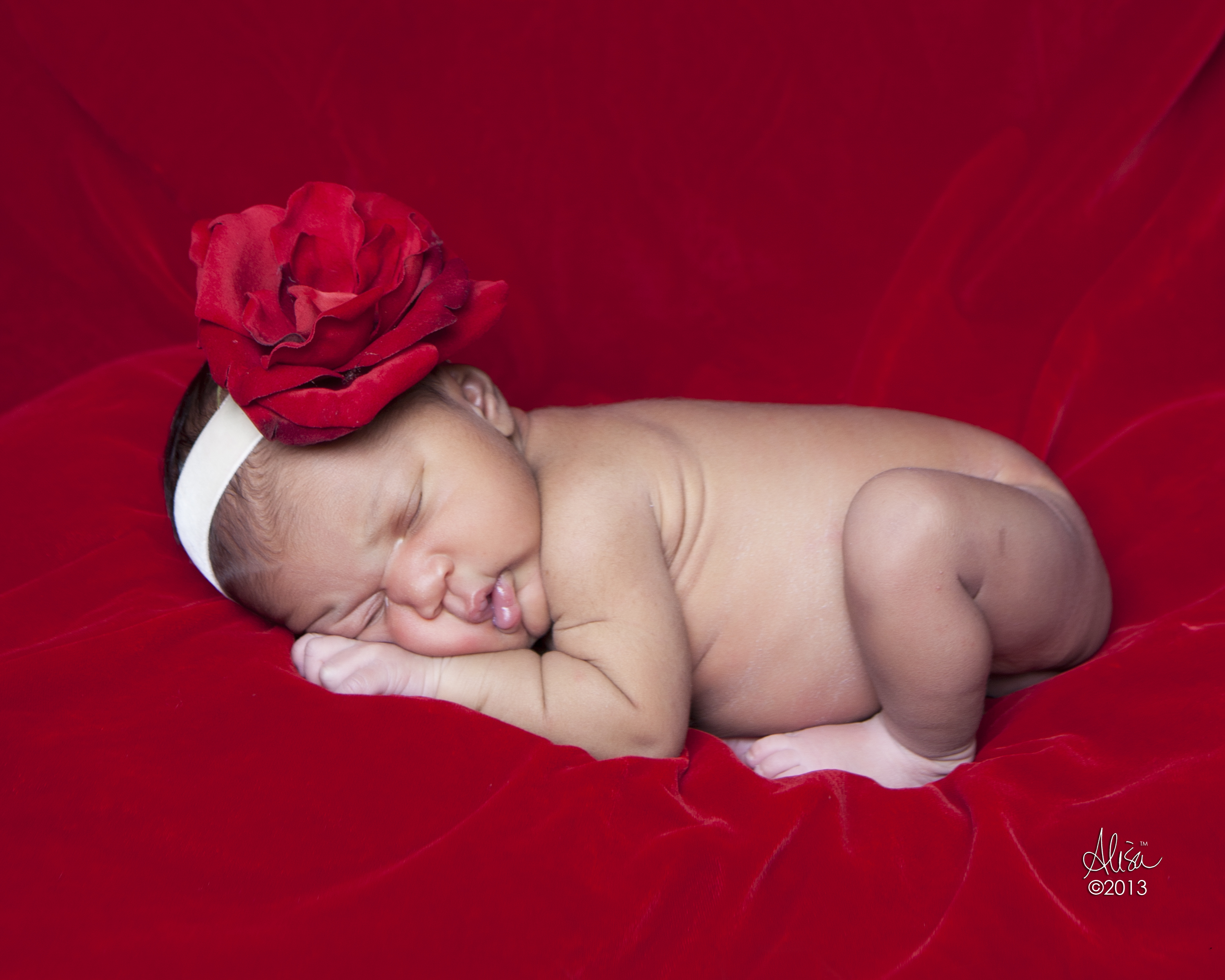 Houston Newborn Photographer | Bundle of Joy