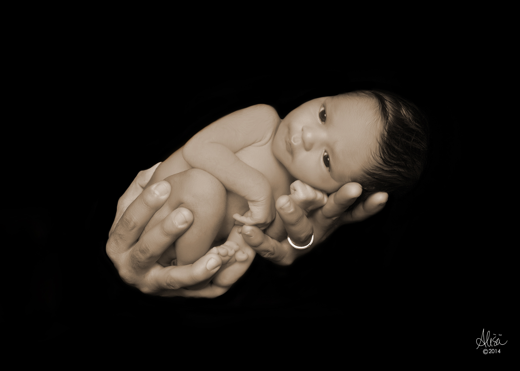 Houston Newborn Photographer | Brand New Newborn Coming Home