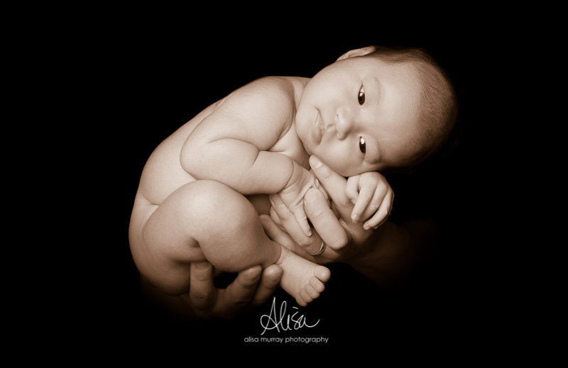 Houston Newborn Photographer | Le Family