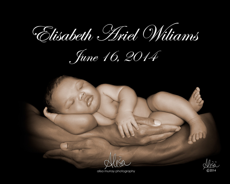 Houston Newborn Photographer | Art to the Newborn Photography Experience