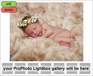 Houston Newborn Photographer