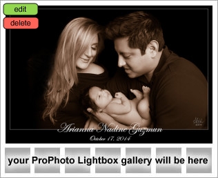 Houston Newborn Photographer