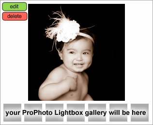 Houston Baby Photographer