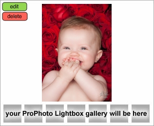 Houston Baby Photographer