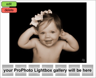 Houston Baby Photographer