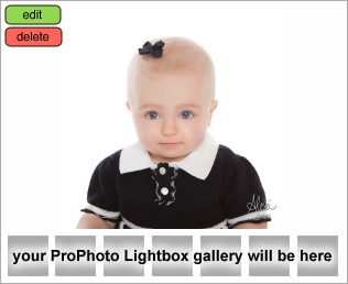 Houston's Premiere Baby Photographer