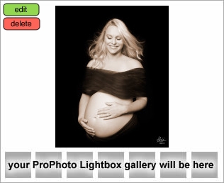 Houston Maternity Photographer