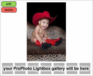Houston Baby Photographer