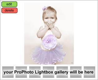 Houston Childhood Photographer