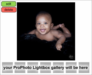 Houston Newborn and Baby Photography