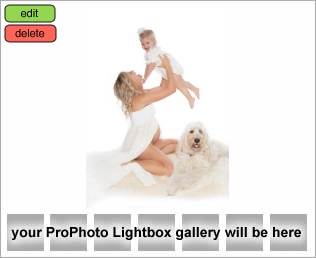 Maternity Photography with Alisa Murray